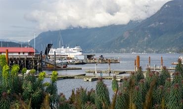 QUEEN OF OAK BAY at Horseshore Bay © Aaron Saunders