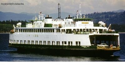 EVERGREEN STATE © Shippax