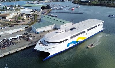 CHINA ZORRILLA © Incat